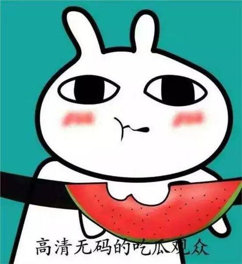 吃瓜套路表情包,揭秘热门表情包背后的吃瓜套路  第3张